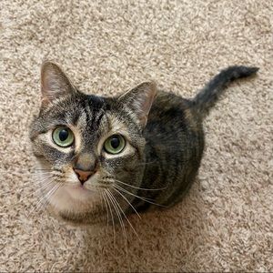 Meet your Posher, Lauren